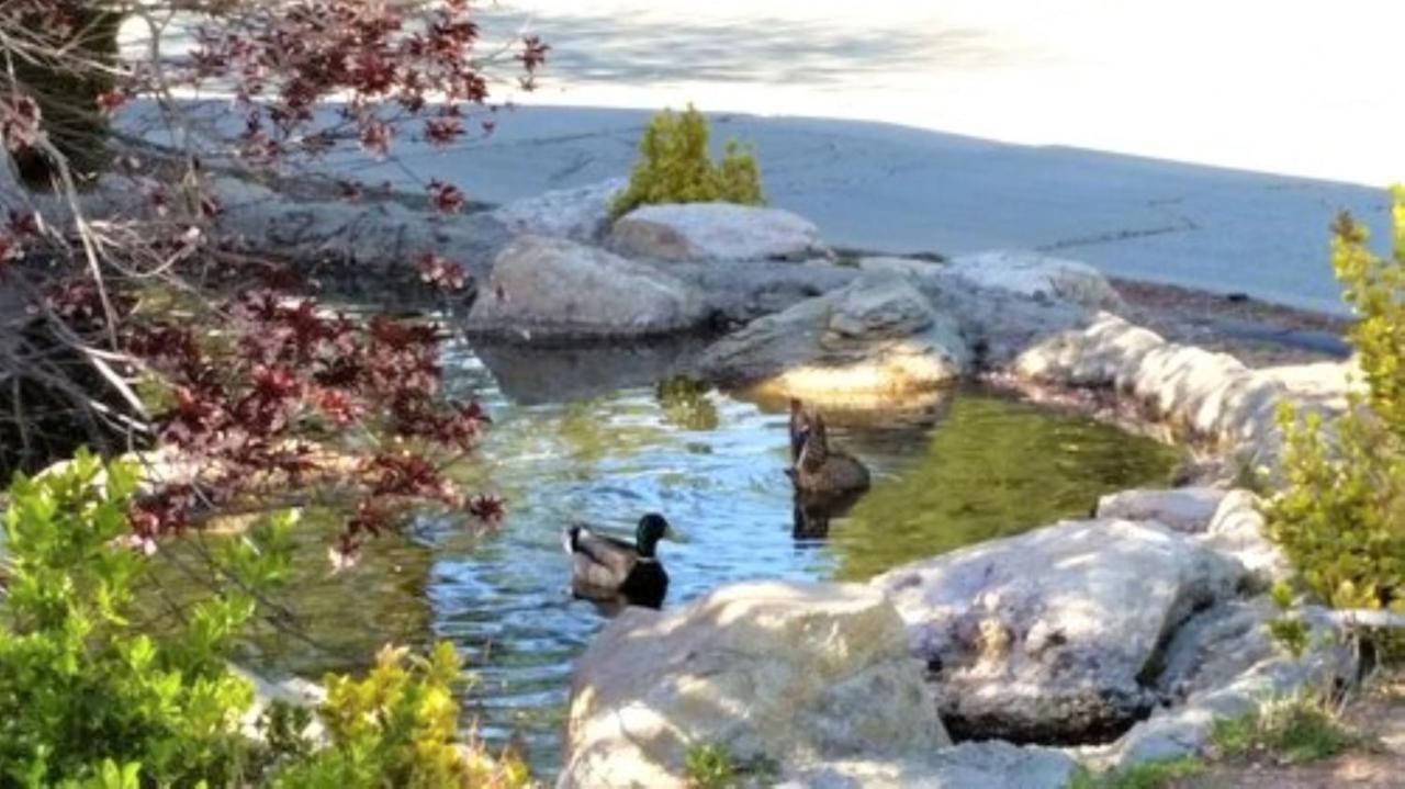 North Bay At Lake Arrowhead Blue Jay Экстерьер фото